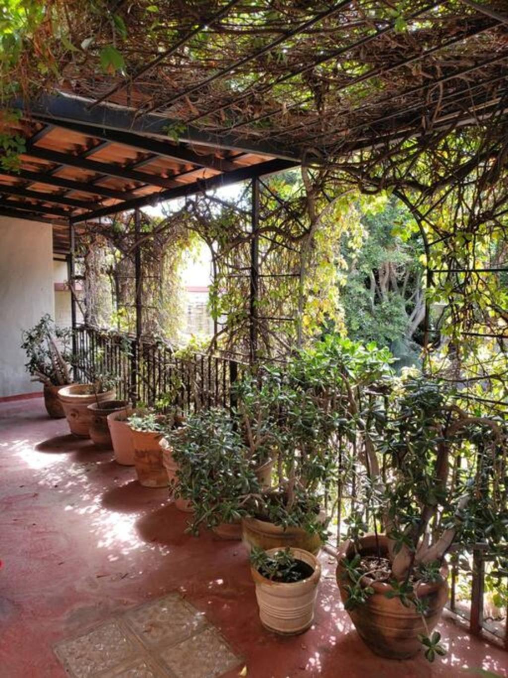 Enjoy Ac In The Queen'S Suite At Inn Ajijic Exterior foto