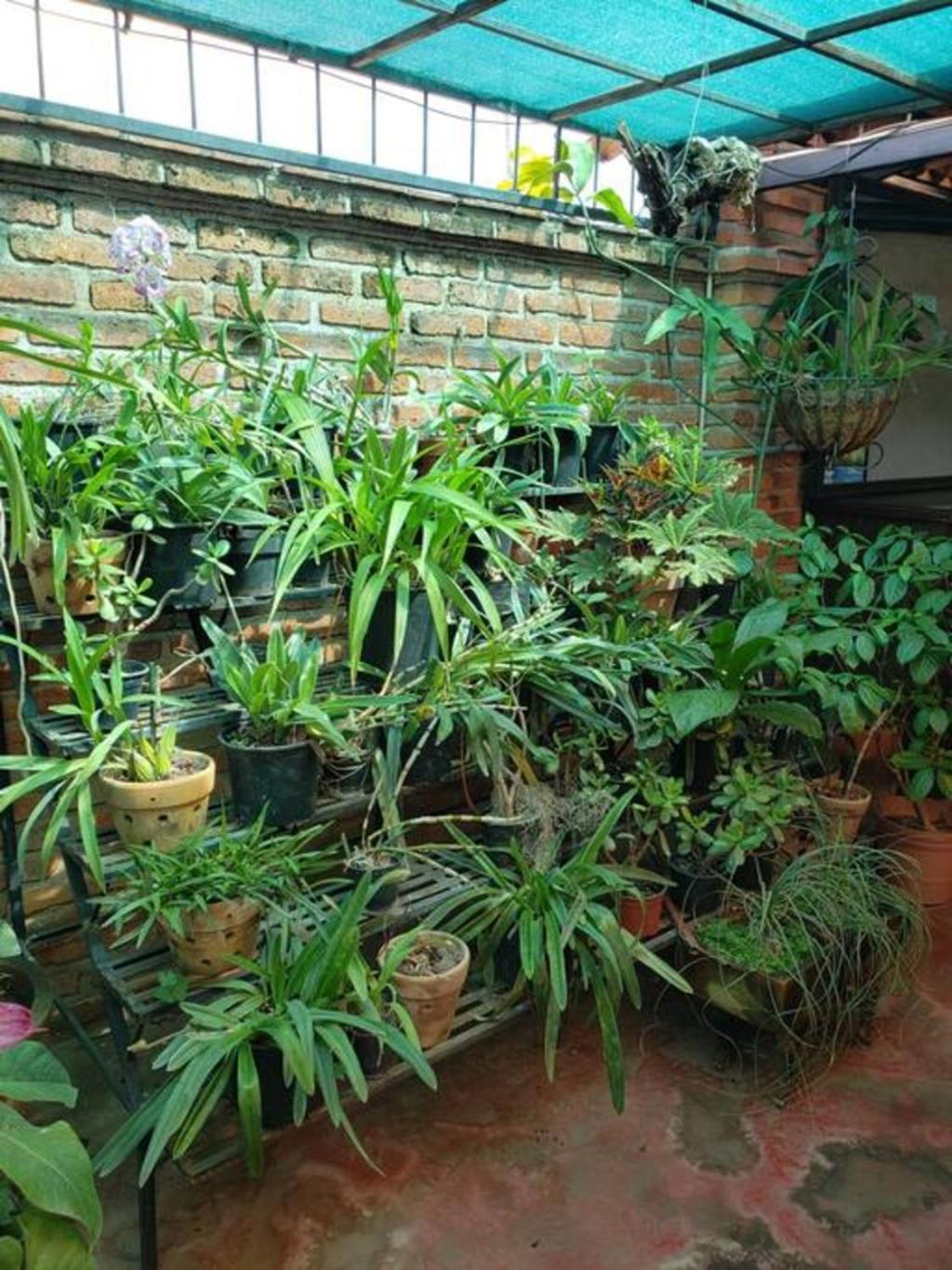 Enjoy Ac In The Queen'S Suite At Inn Ajijic Exterior foto