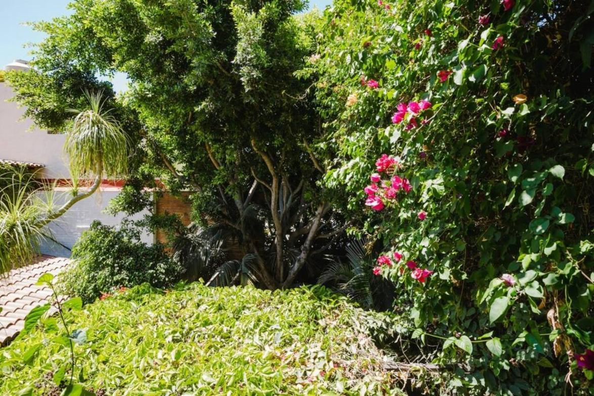 Enjoy Ac In The Queen'S Suite At Inn Ajijic Exterior foto
